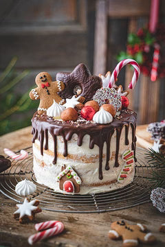 Chocolate Reindeer Drip Cake